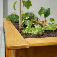 Hoch- und Frühbeet (Bauanleitung)