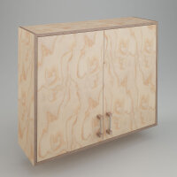 WmS - Hängeschrank mit Schieberegal (Bauanleitung)