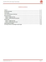 Lauflernwagen Puppenwagen (Bauanleitung)